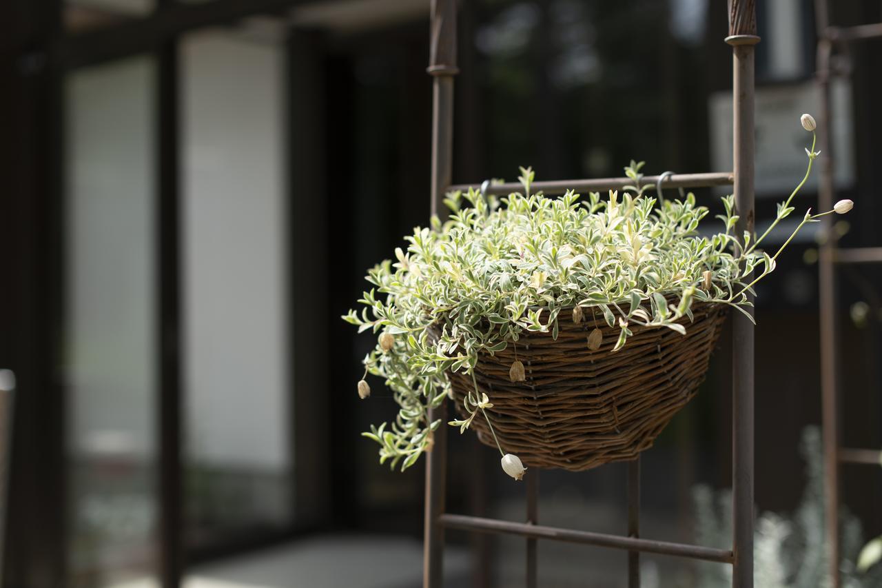 山中湖村 山中湖旅馆梁山酒店 外观 照片